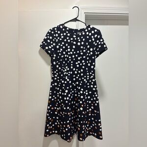 Vince Camuto DARK Blue and Cream Polka Dot Dress